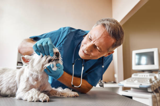 Best Broken Tooth Emergency  in Texkana, AR